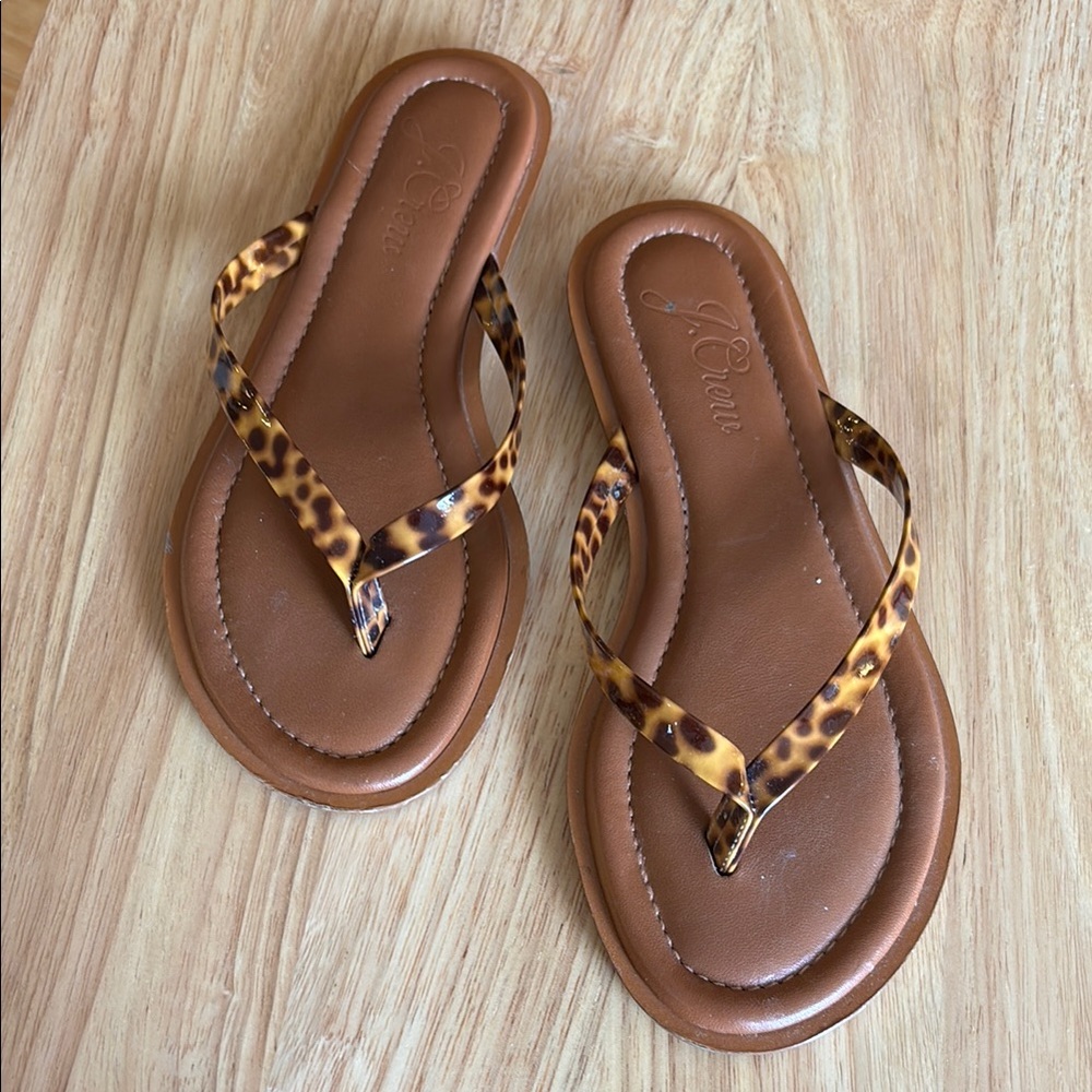 J. Crew . Italian tortoise,
